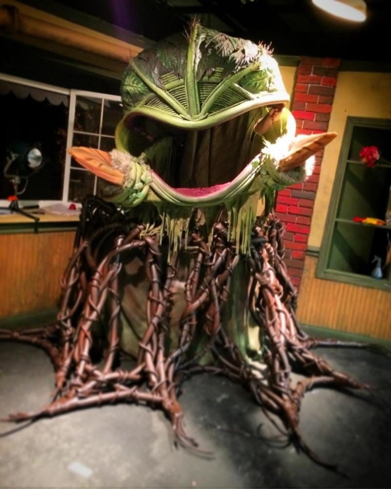The Audrey II puppet, voiced by Jared Riddle and controlled by James Solis, is the man-eating plant that plagues Seymour.