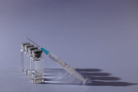 While the COVID-19 pandemic remains the nation’s foremost health crisis, the seasonal flu will soon make a return, experts say. The CDC encourages
anyone 6 months and over to receive the flu vaccination, which they hope will keep hospitals and doctors’ offices clear for COVID patients.
