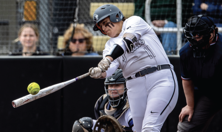 PNW takes seriously its commitment to women’s sports. The university has increased the number of female
athletic programs during the last decade, including the addition of women’s softball. Though more men than
women participate in sports, spending on women is slightly ahead. 