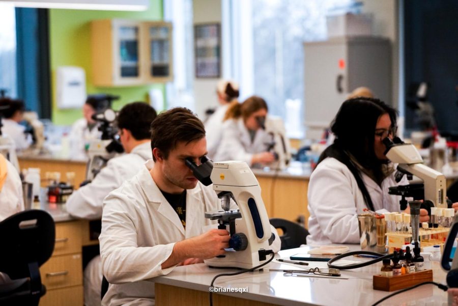 Research at PNW has created many opportunities for students. More than 50 research programs underway drive experience for undergraduate and advanced degree students and help balance out state funding cuts.