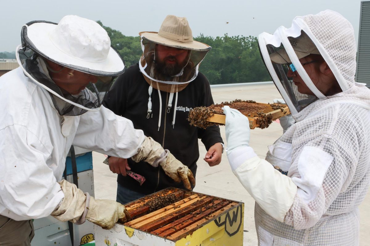 As winter closes in, work continues to prepare PNW'S beehives for cold weather. The university has harvested honey from apiaries on the Hammond and Westville campuses and Gabis Arboretum. (PNW Photo)