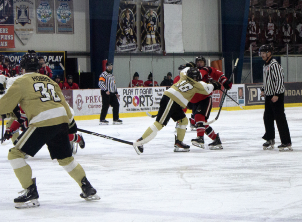 The D1 hockey team has struggled, reaching a 13-14-1 record going into its final week-
end games. The Pride were edged by Illinois State 5-3 on Jan. 31.